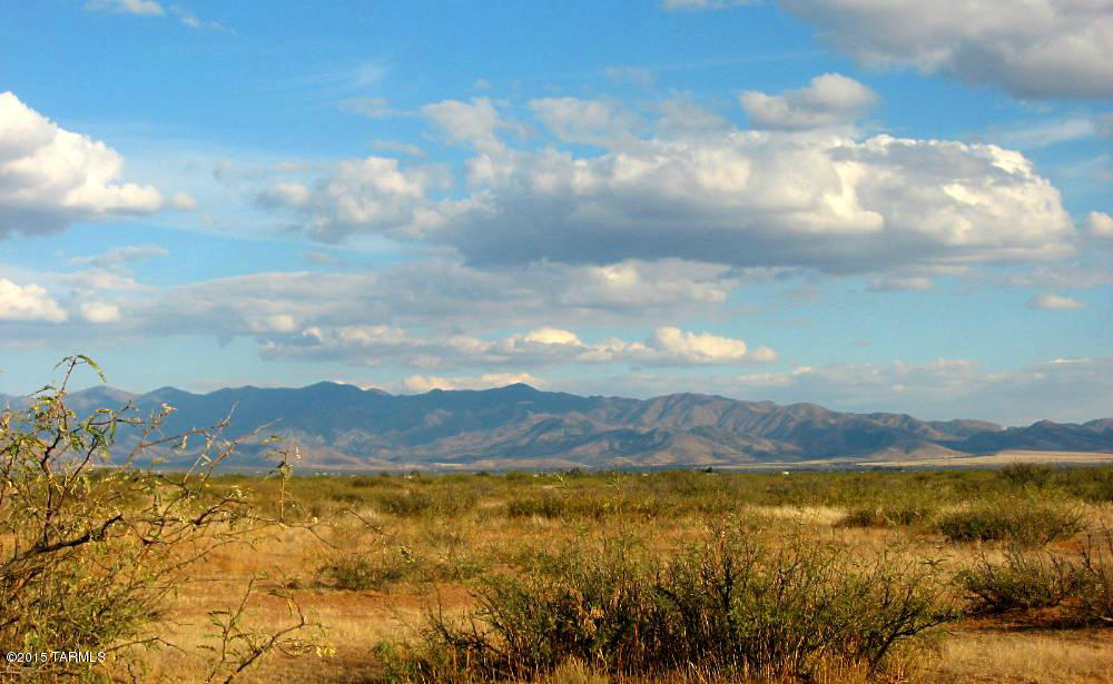 40 Ac On Grimmett Road, Unit 68 Pearce, AZ 85625 - Photo 3 of 9
