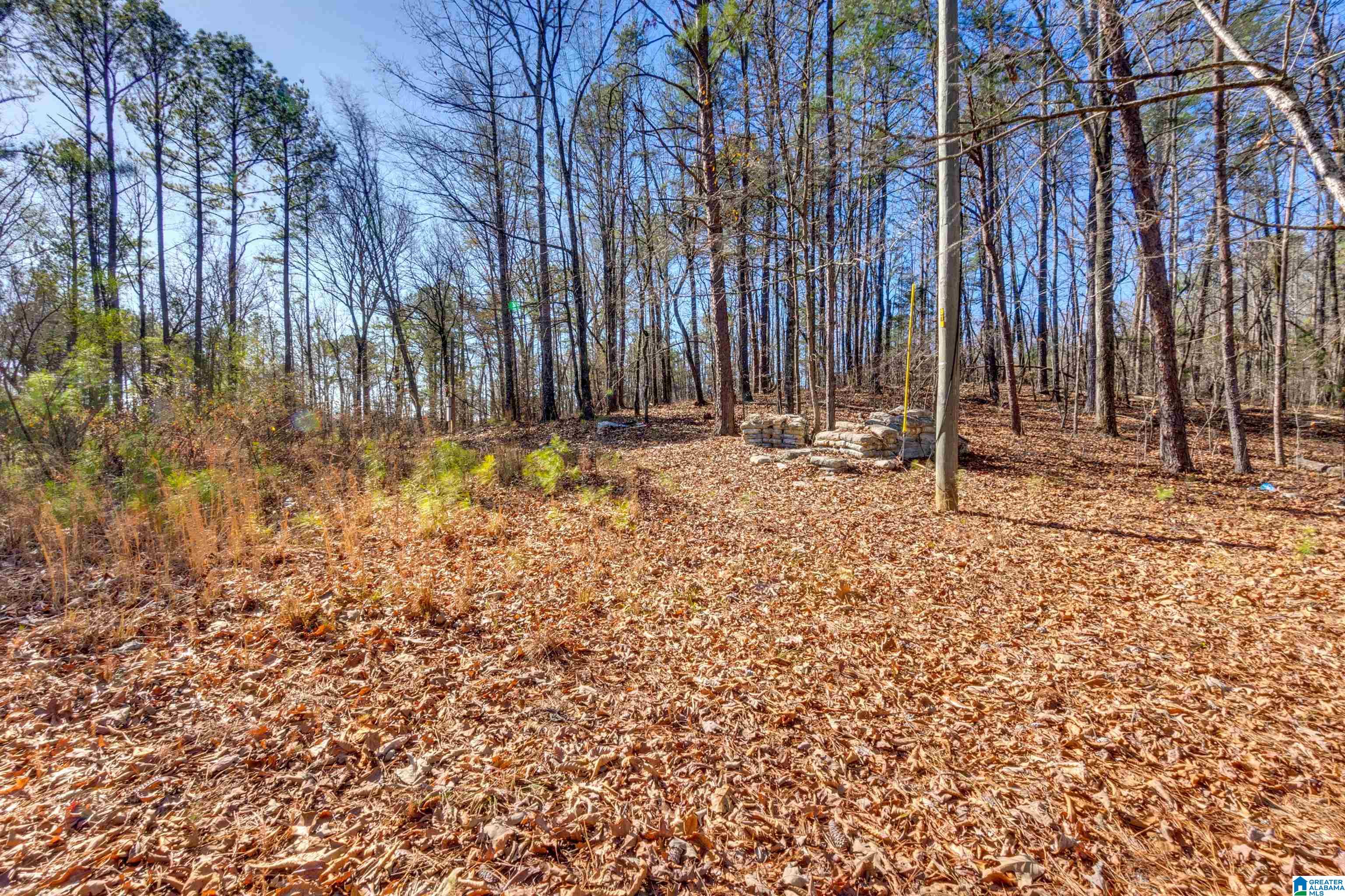900 County Road 772 Montevallo, AL 35115 - Photo 52 of 58