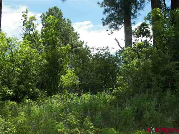 $125,000 | 673 Spring Creek Circle, Chromo, CO 81128