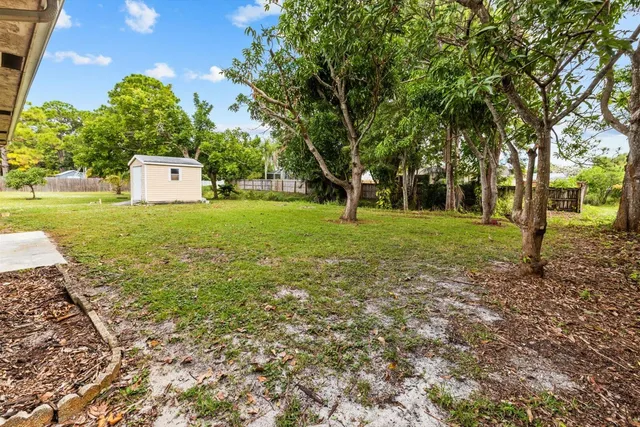 a tall tree in middle of the garden