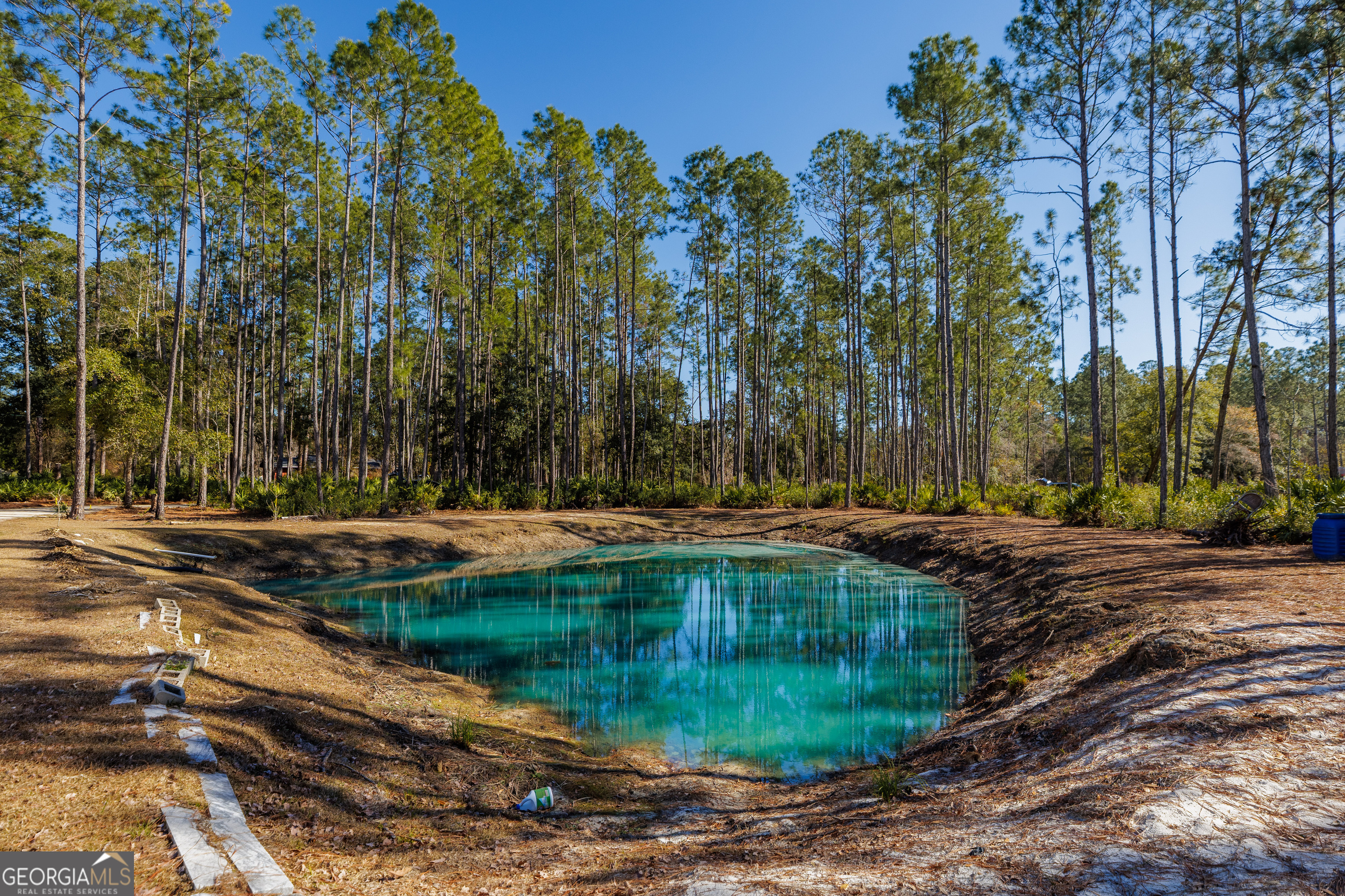 219 Buck Griffis Road Homerville, GA 31634 - Photo 48 of 48