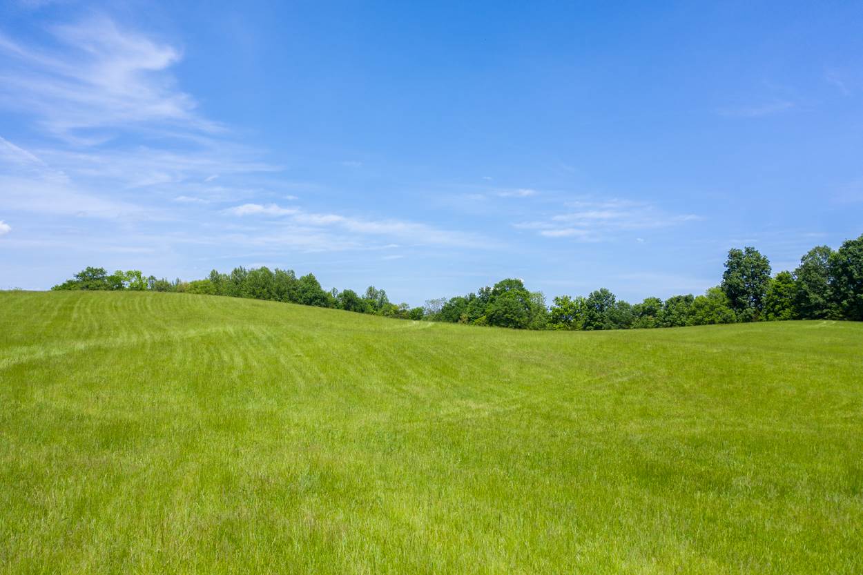 0 Colesbend Road Smiths Grove, KY 42171 - Photo 10 of 12 Gallery Image 10