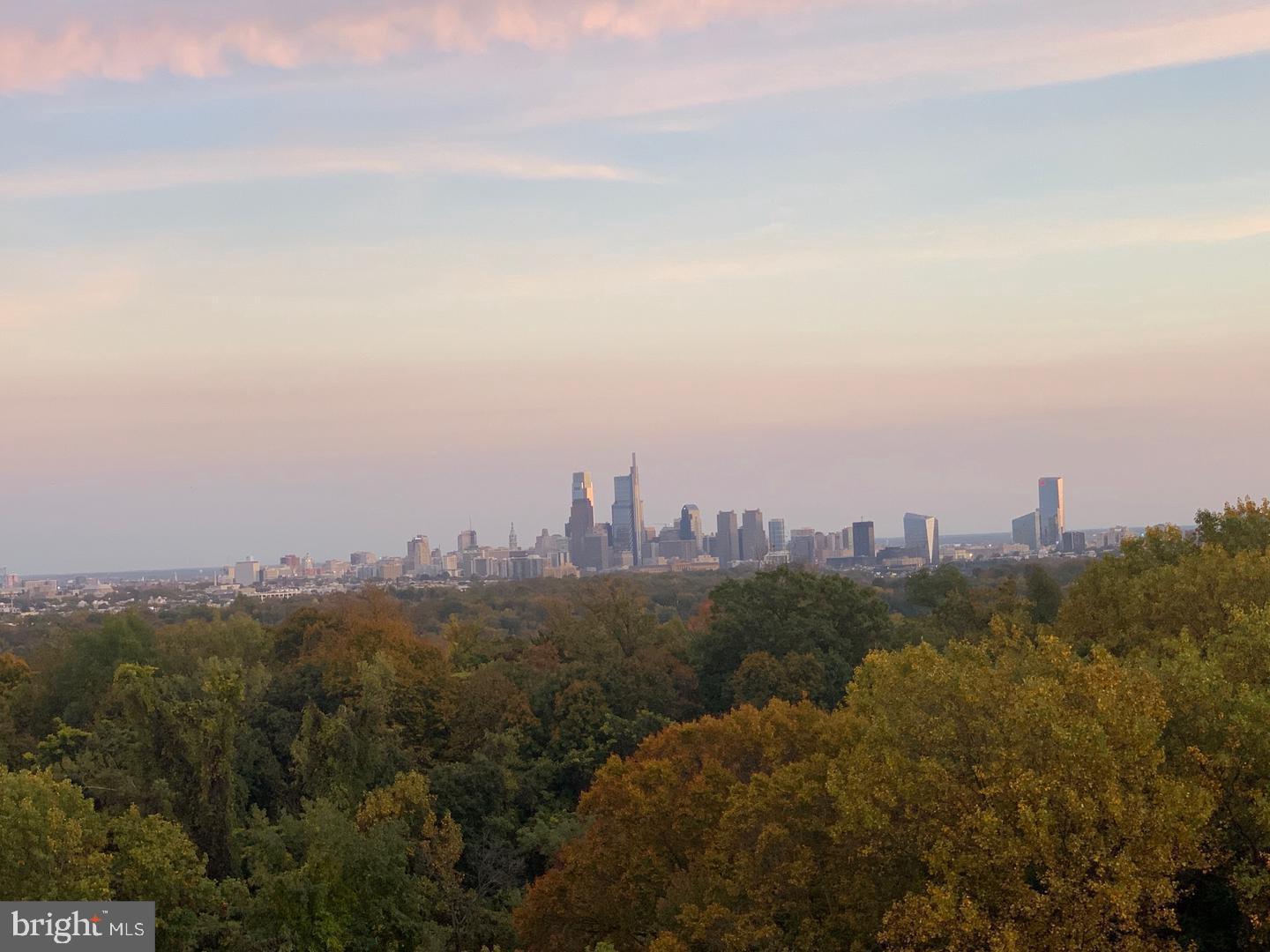3900 West Ford Road, Unit 14K Philadelphia, PA 19131 - Photo 26 of 53 City skyline framed by autumn hues.