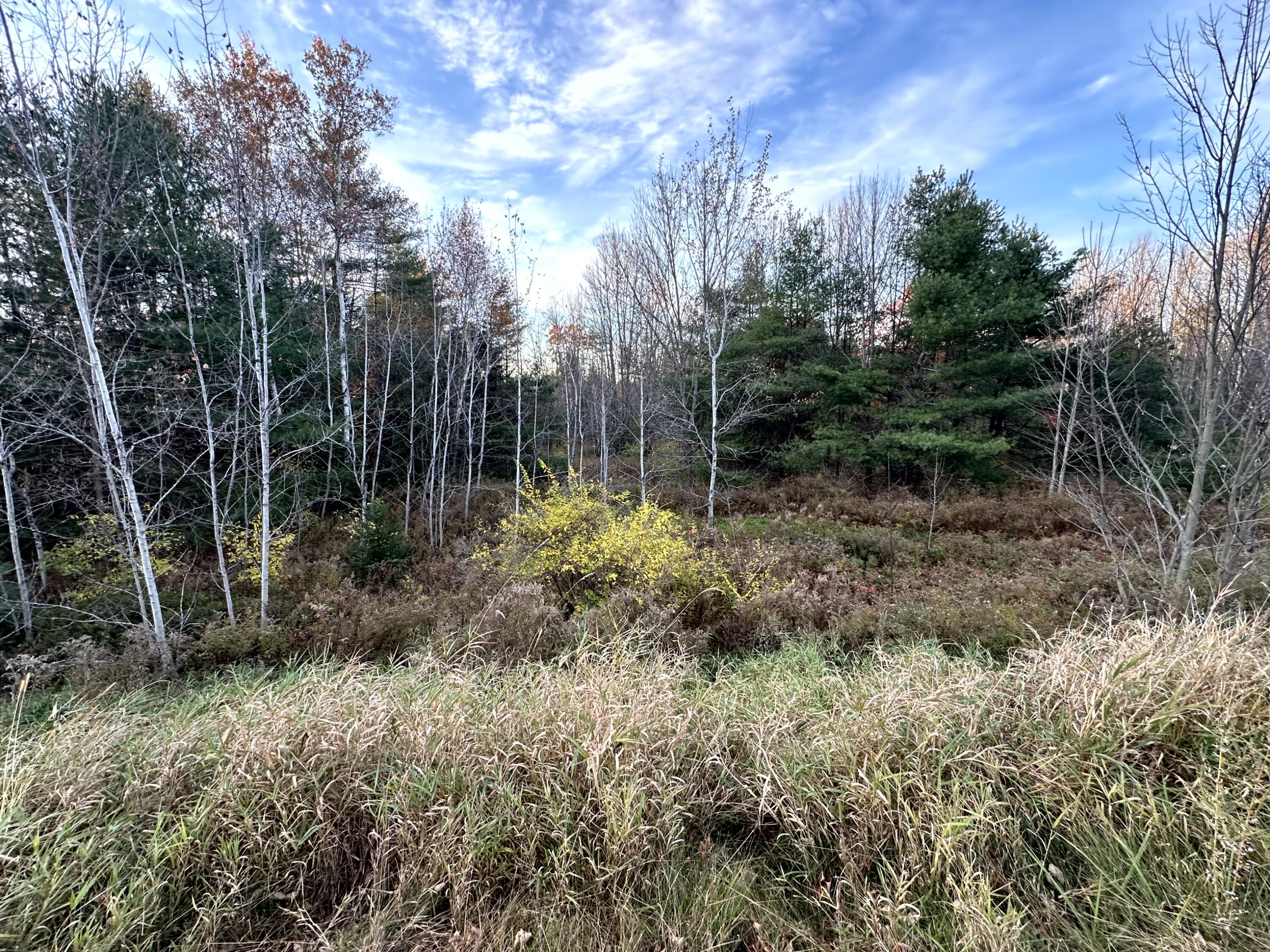 14 Map Road Albion, ME 04910 - Photo 19 of 35 IMG_9309