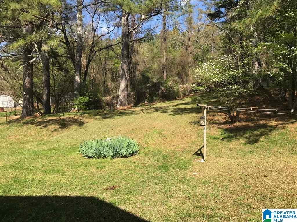 1127 Cedar Springs Road Weaver, AL 36277 - Photo 40 of 48
