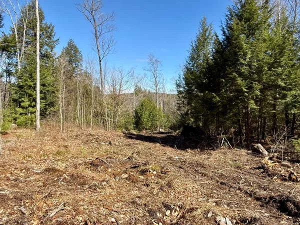 $60,000 | Map8-lot53b Buckfield Road, South Paris, ME 04281