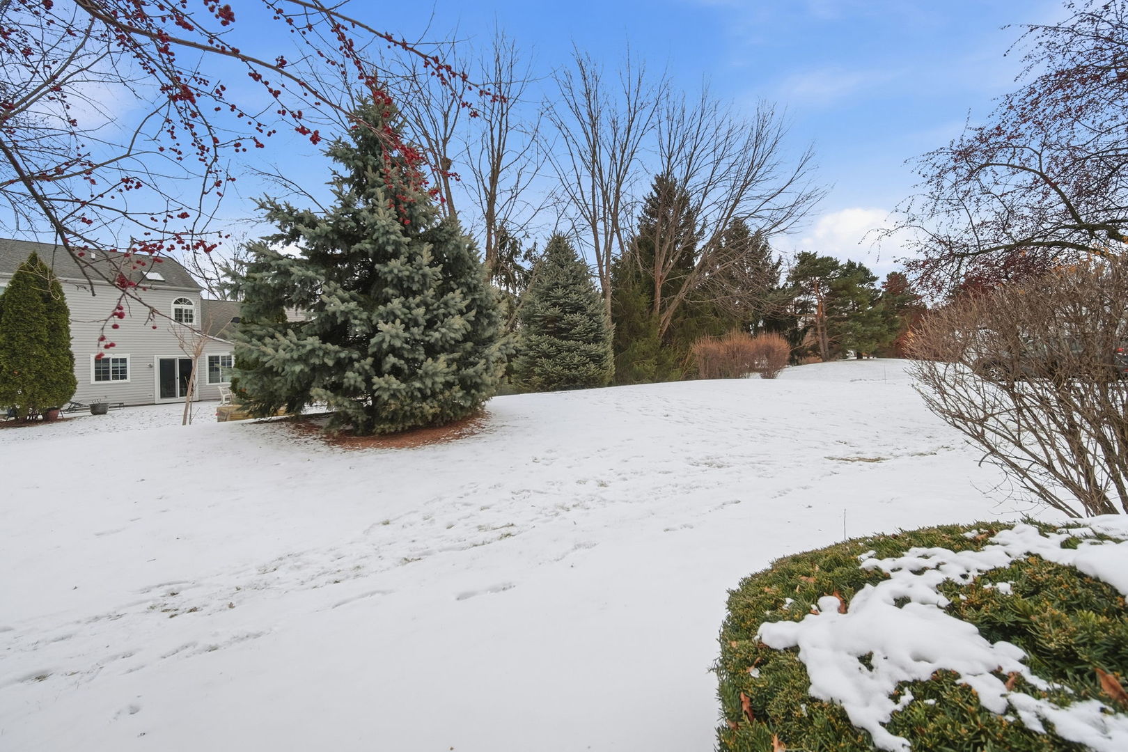 1372 Normantown Road, Unit 1372 Naperville, IL 60564 - Photo 18 of 22