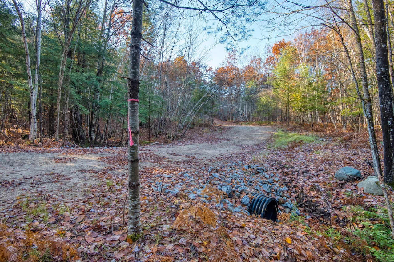 0 Mountain View Road Fryeburg, ME 04037 - Photo 3 of 26 0 Mountain View Road_Weafer - 3 of 21