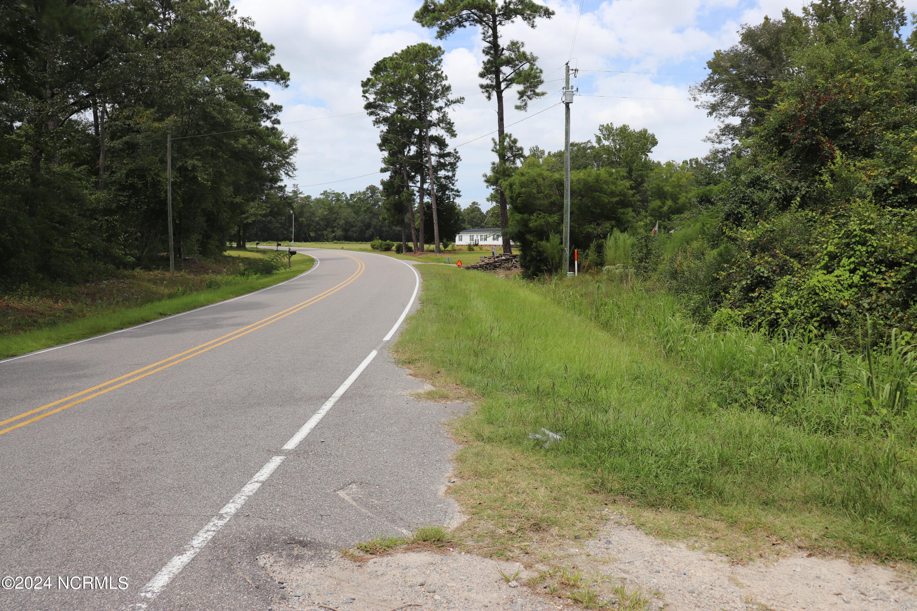 Tbd Tbd Pocosin Road Council, NC 28434 - Photo 23 of 25 Pocosin Road - facing West