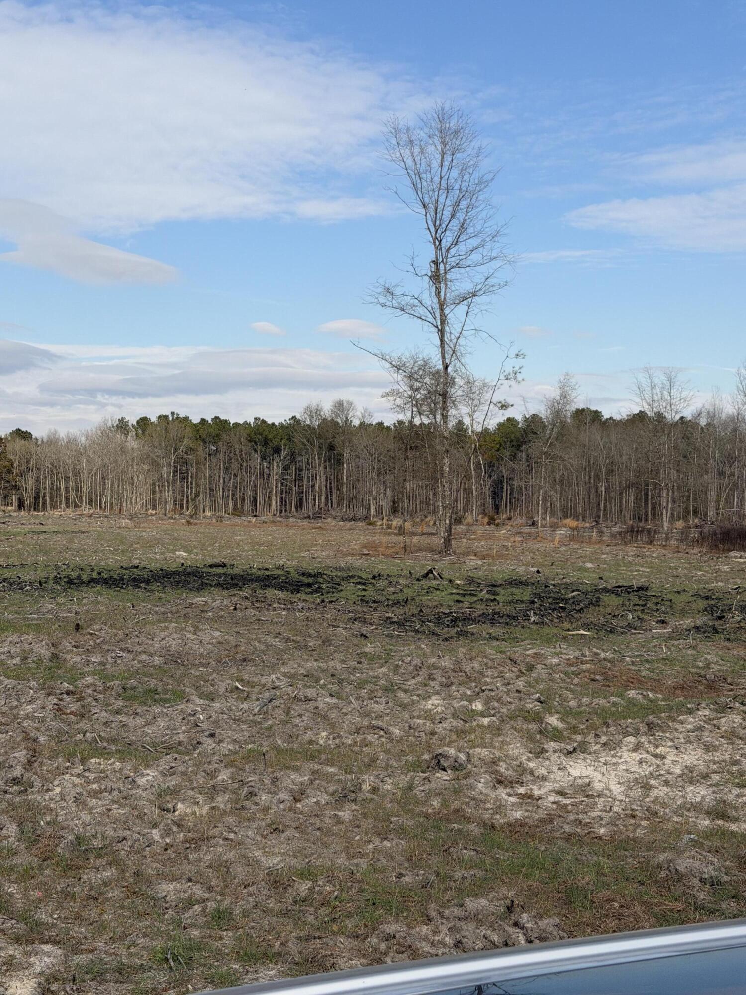 20.33 R And B Road Barnwell, SC 29812 - Photo 8 of 11