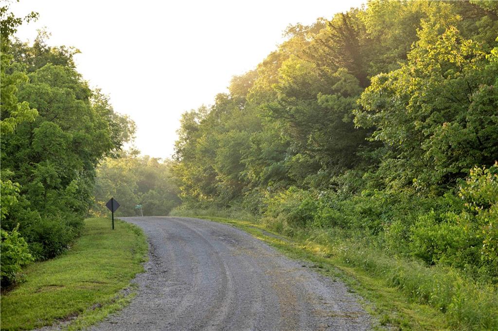 Wilderness Camp Road Lawson, MO 64062 - Photo 16 of 90