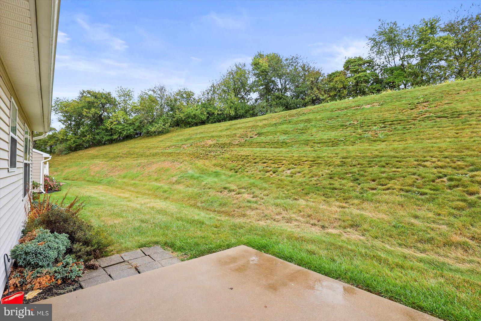 7150 Seneca Ridge Drive York, PA 17403 - Photo 29 of 32 a view of a big yard with potted plants and large tree