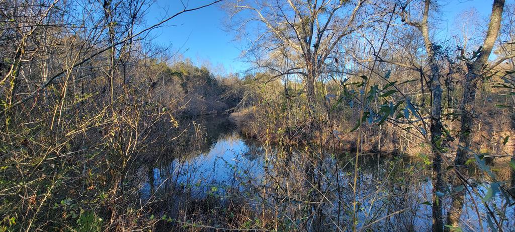 50.45-acres Trawick Road Dothan, AL 36301 - Photo 21 of 62