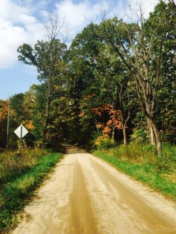 67575 Valley Road White Pigeon, MI 49099 - Photo 48 of 55 Roadway