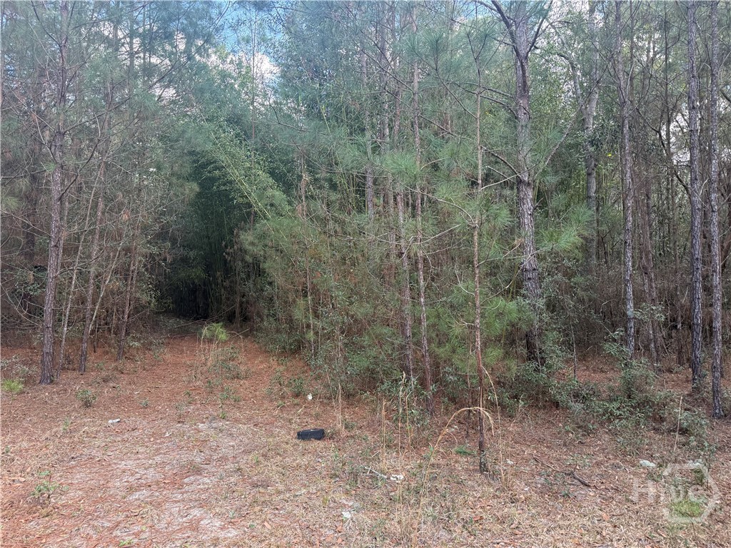 2362 Old Dixie Highway South Springfield, GA 31329 - Photo 5 of 9