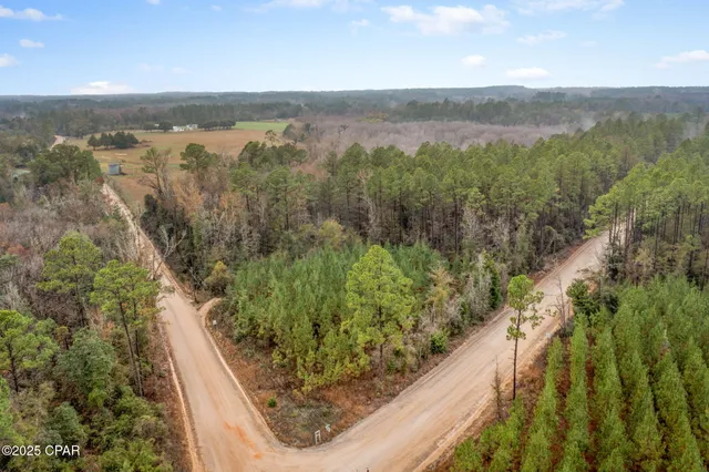$14,999 | Xxx White Road, Unit 1 14 ACRES, Bonifay, FL 32425
