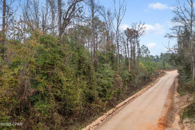 $14,999 | Xxx White Road, Unit 1 14 ACRES, Bonifay, FL 32425