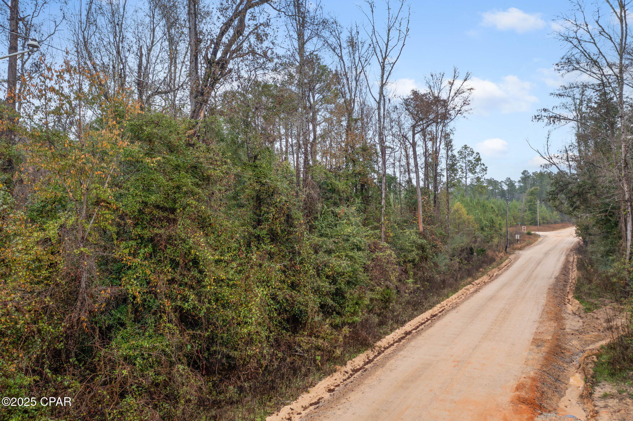 Xxx White Road, Unit 1 14 ACRES Bonifay, FL 32425 - Photo 2 of 11