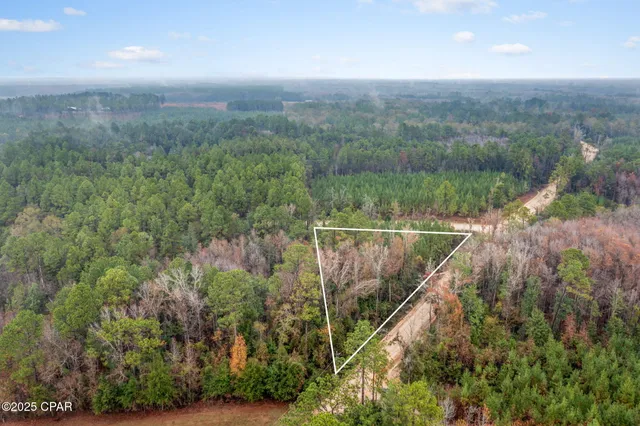 $14,999 | Xxx White Road, Unit 1 14 ACRES, Bonifay, FL 32425