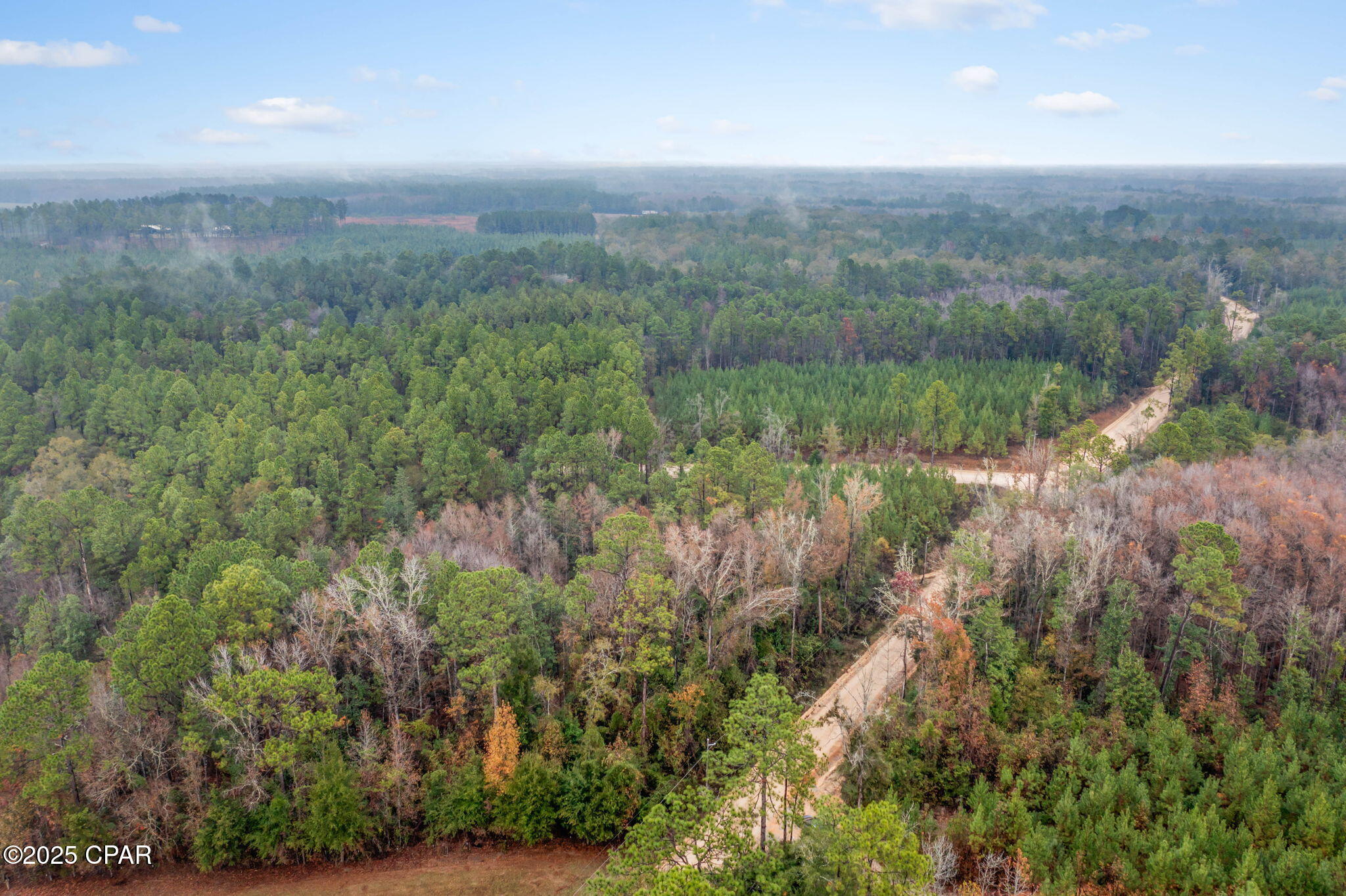 Xxx White Road, Unit 1 14 ACRES Bonifay, FL 32425 - Photo 6 of 11
