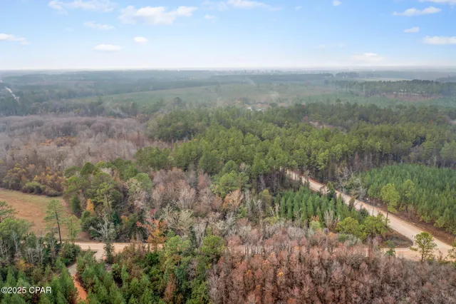 $14,999 | Xxx White Road, Unit 1 14 ACRES, Bonifay, FL 32425