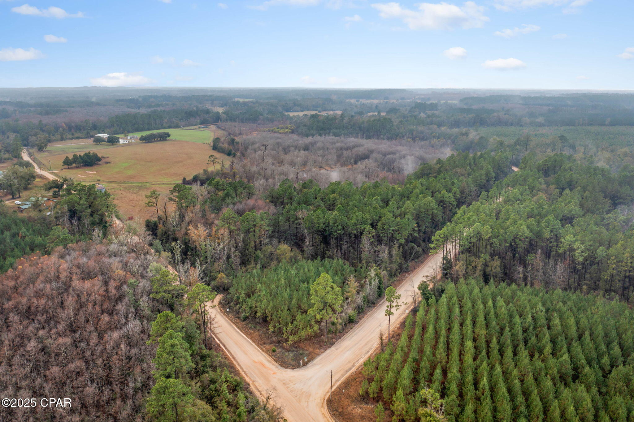 Xxx White Road, Unit 1 14 ACRES Bonifay, FL 32425 - Photo 8 of 11