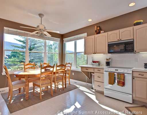 601 Willowbrook Road Silverthorne, CO 80498 - Photo 3 of 12 Gallery Image 3