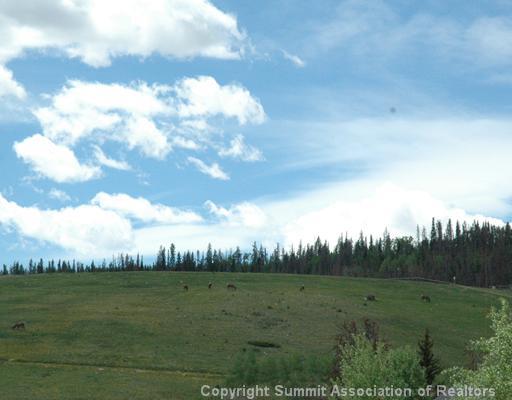 601 Willowbrook Road Silverthorne, CO 80498 - Photo 9 of 12 Gallery Image 9