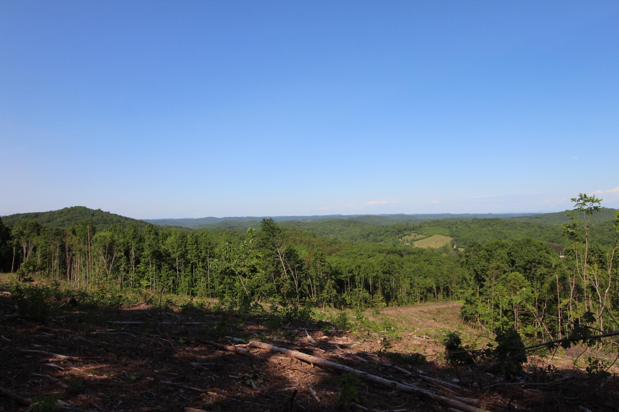 2 Dogtown Road Ten Mile, TN 37880 - Photo 20 of 33 Gallery Image 20