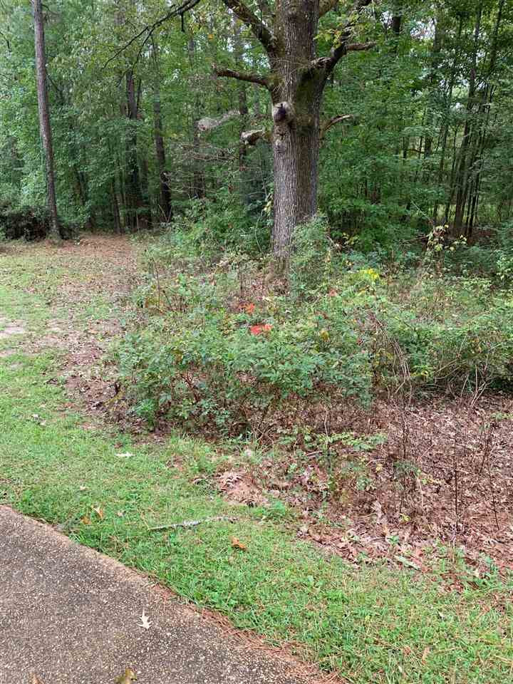 2870 Wells Road Raymond, MS 39154 - Photo 5 of 28 Photo 5