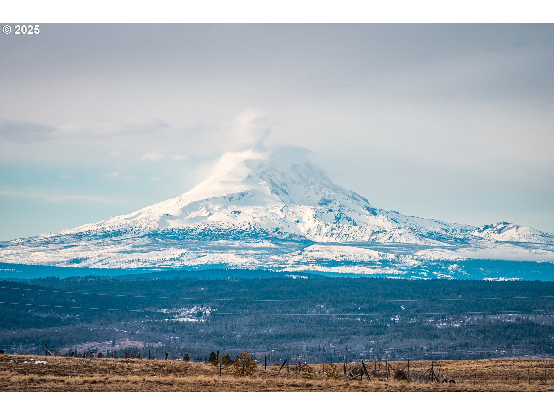380 Harms Road Centerville, WA 98613 - Photo 5 of 19