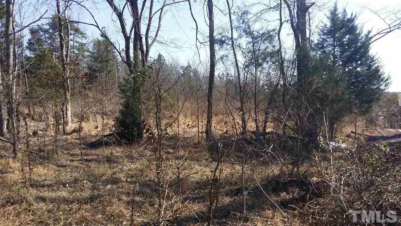 Mt Harmony Church Road Rougemont, NC 27572 - Photo 4 of 4