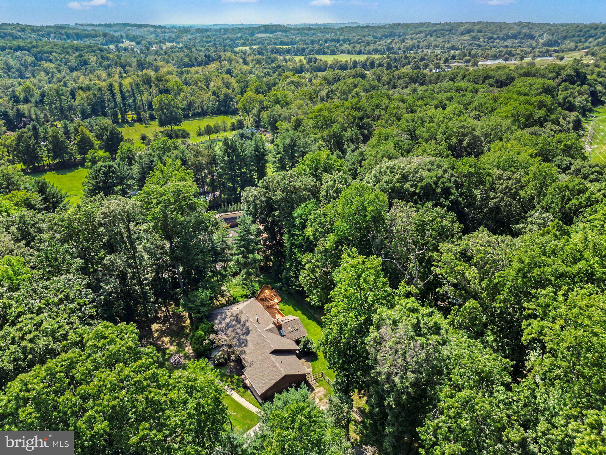 2306 Caves Road Owings Mills, MD 21117 - Photo 32 of 38 Top Drone Shot