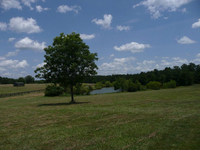 624 Duncan Road Johnston, SC 29832 - Photo 16 of 17