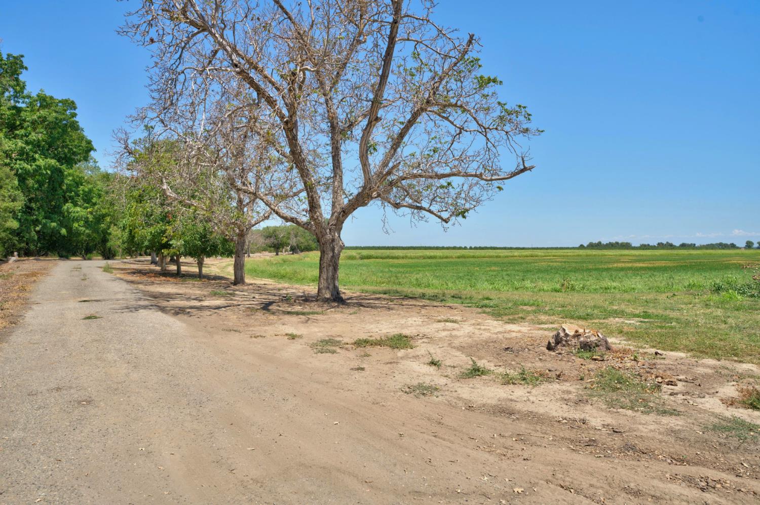 3878 River Road Colusa, CA 95932 - Photo 44 of 51