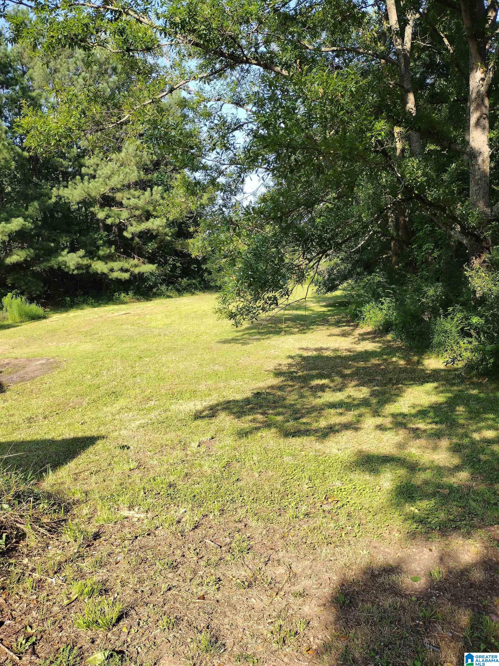 807 Rock Ridge Road Weaver, AL 36277 - Photo 50 of 50