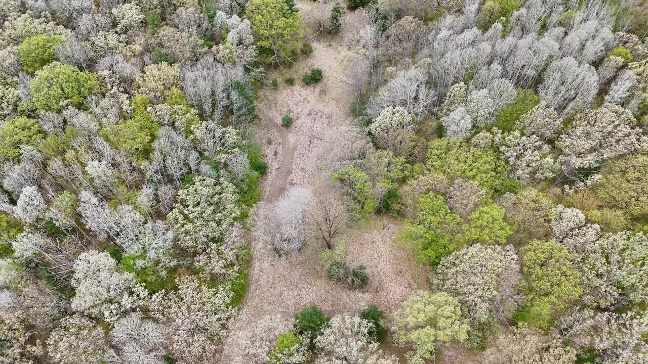 6153 South Branch Road Branch, MI 49402 - Photo 40 of 70 33