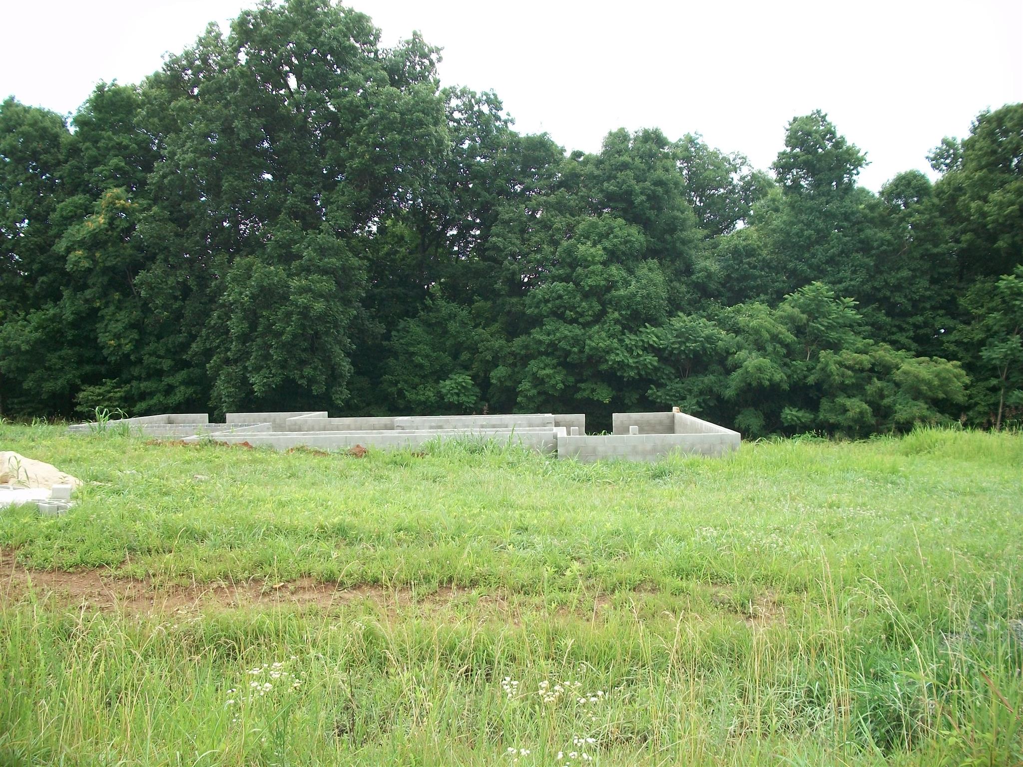 463 Autumn Ridge Lane Lafayette, TN 37083 - Photo 2 of 2 BEAUTIFUL VIEW OUT BACK. VIEWING FOUNDATION