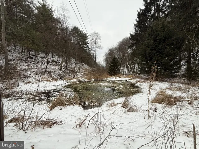 a view of a yard covered in snow