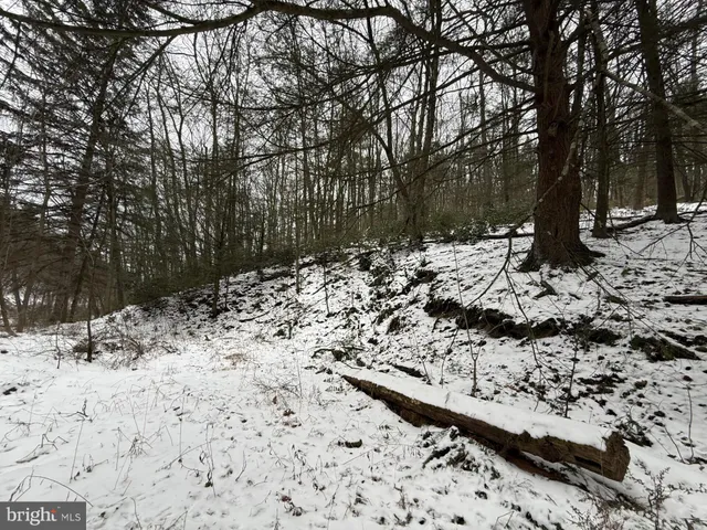 a view of a yard covered with snow in the outdoor space