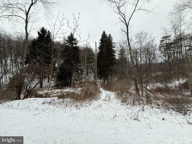 a view of a yard covered in snow