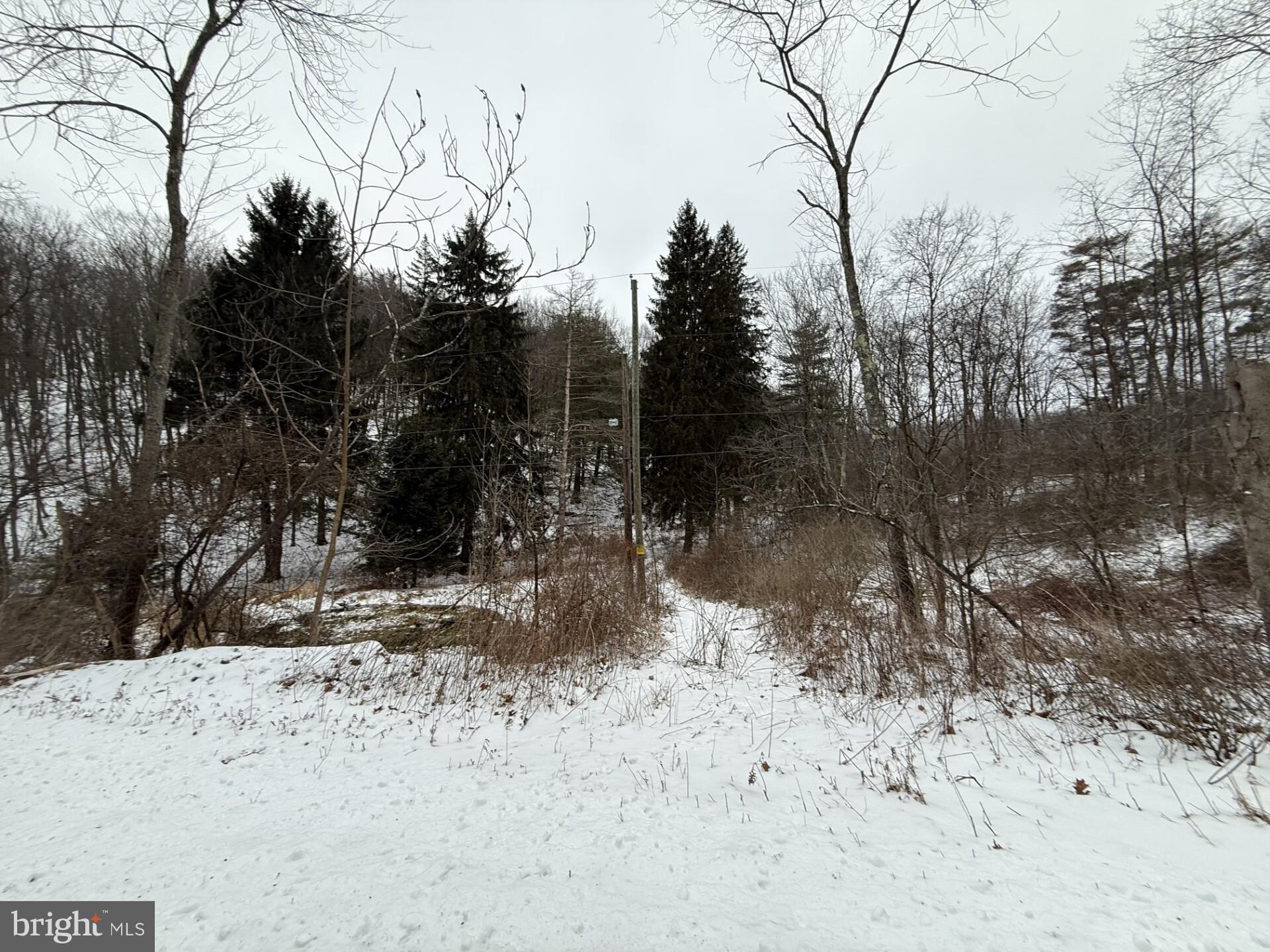 Lot On Orchard Road Port Matilda, PA 16870 - Photo 4 of 4 Gallery Image 4