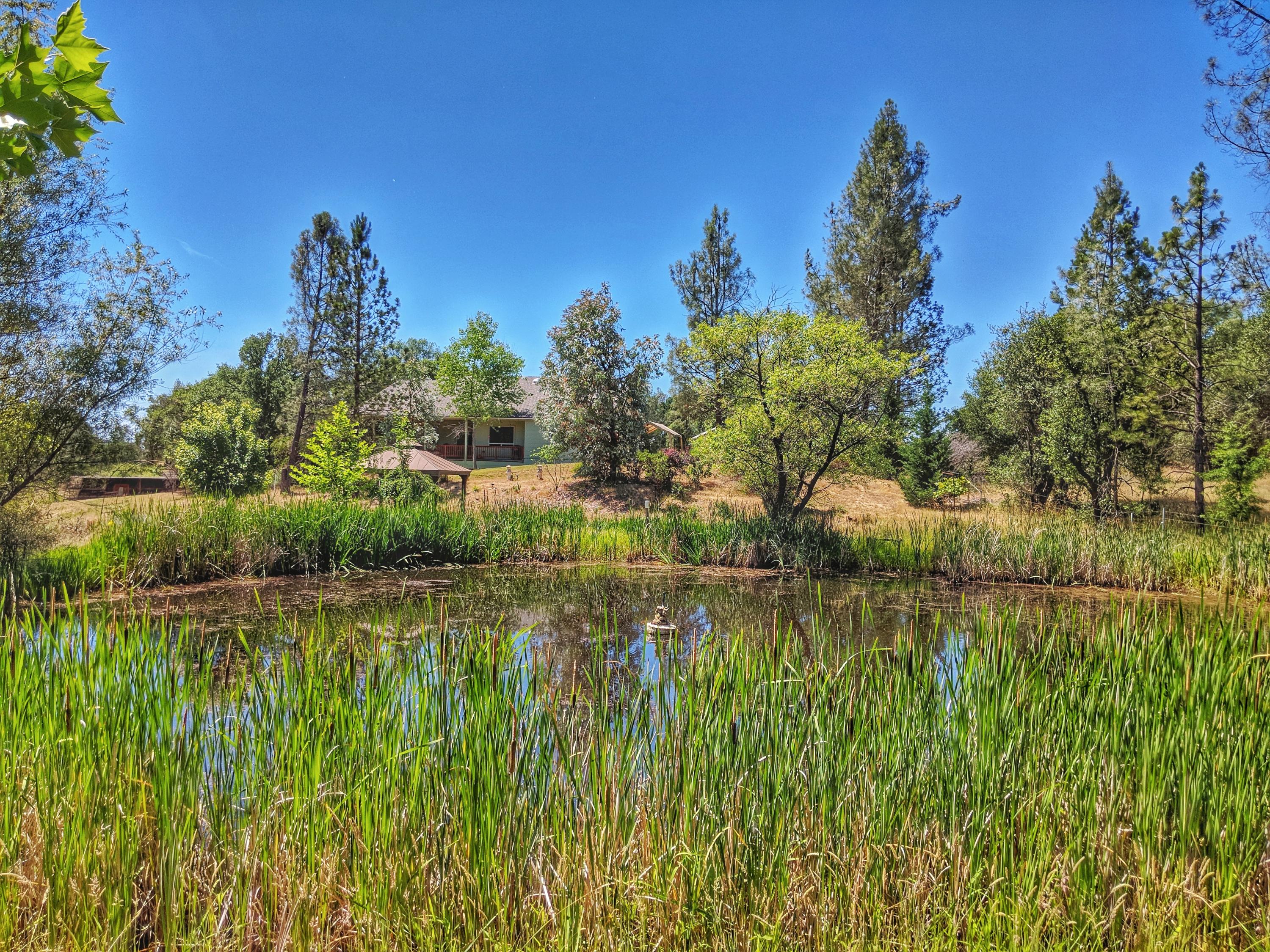 6818 Rector Creek Road Igo, CA 96047 - Photo 30 of 34 a view of a lake with a house in the background