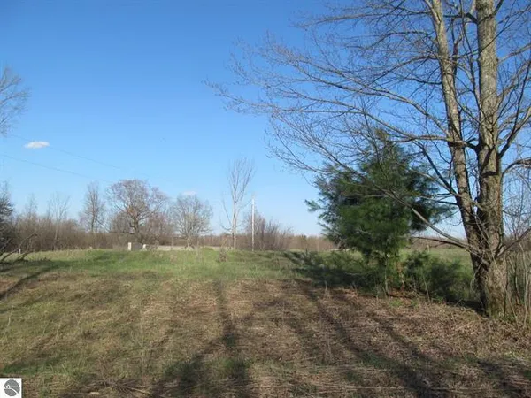 $7,750 | 0 90th Avenue, Marion, MI 49665