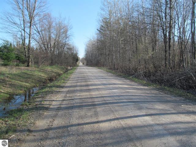 0 90th Avenue Marion, MI 49665 - Photo 11 of 12 11