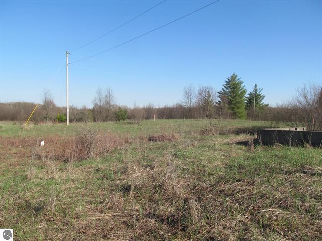 0 90th Avenue Marion, MI 49665 - Photo 4 of 12 4