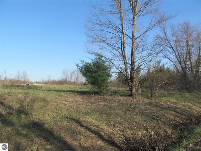 0 90th Avenue Marion, MI 49665 - Photo 10 of 12 10