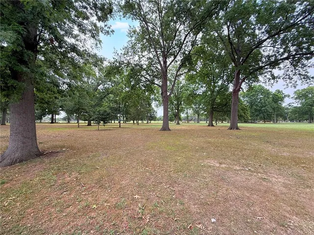 a view of outdoor space with yard and trees