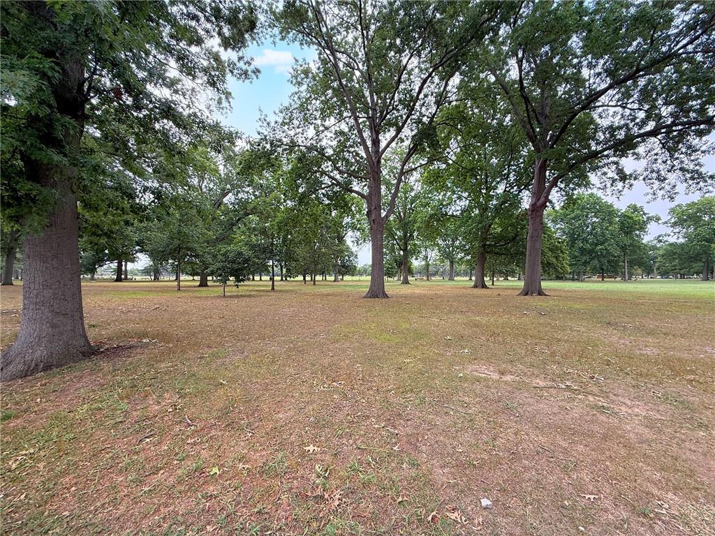 2312 Stuart Street, Unit 2L Brooklyn, NY 11229 - Photo 23 of 24 a view of outdoor space with yard and trees