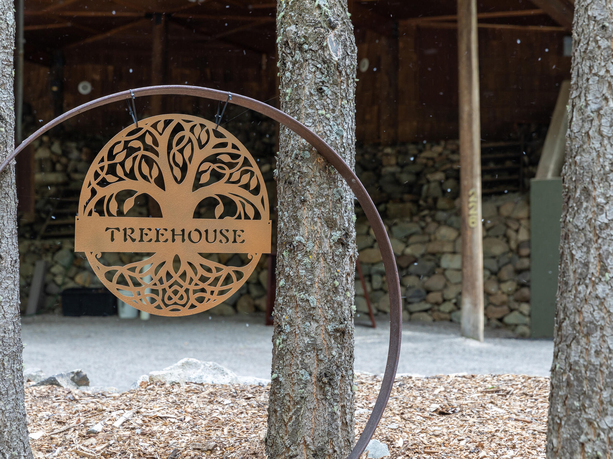 226 Lake Fork Junction Road Ophir, CO 81426 - Photo 27 of 31